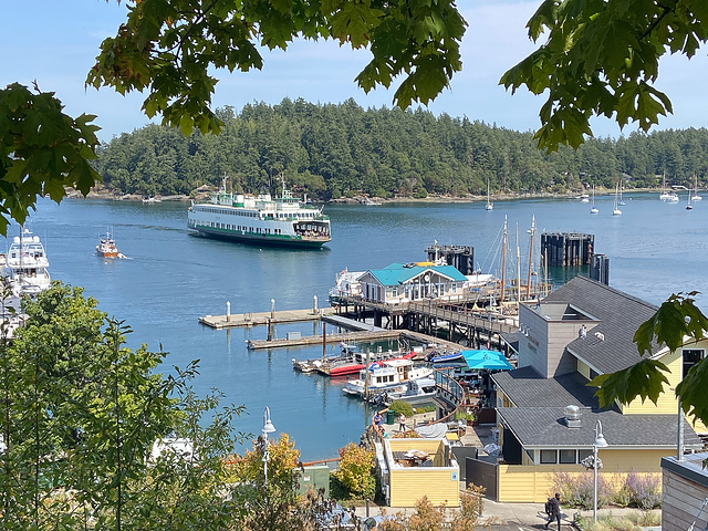 Friday Harbor Sommeridylle