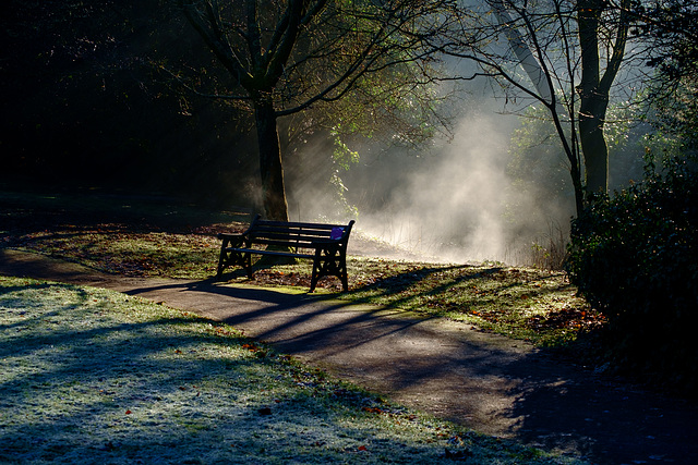 Mist over the river