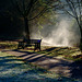 Mist over the river