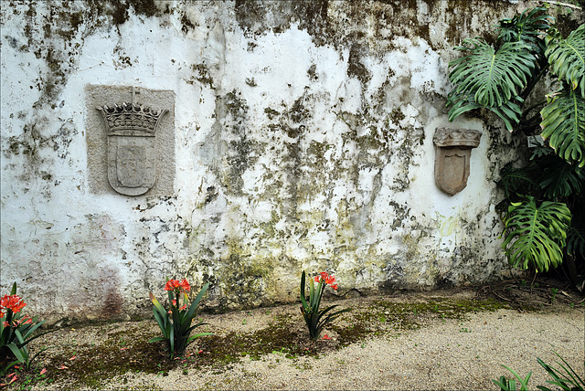 Tavira, HWW Tavira, HWW