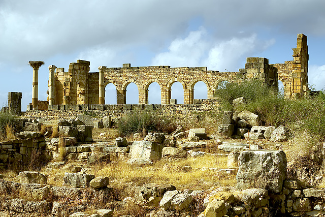 La Basilique. Ruines de Volubilis.