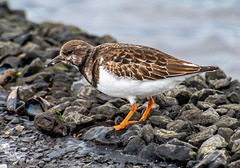 West Kirby3