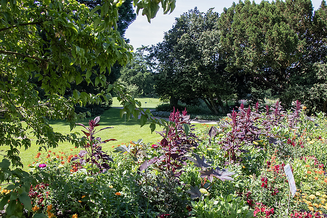 Blühende Gartenanlage