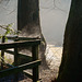 Mist rising from the fence