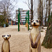 spielplatz-00415-co-24-03-16