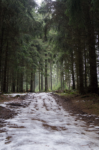 Eifel - Hohe Acht DSC00182