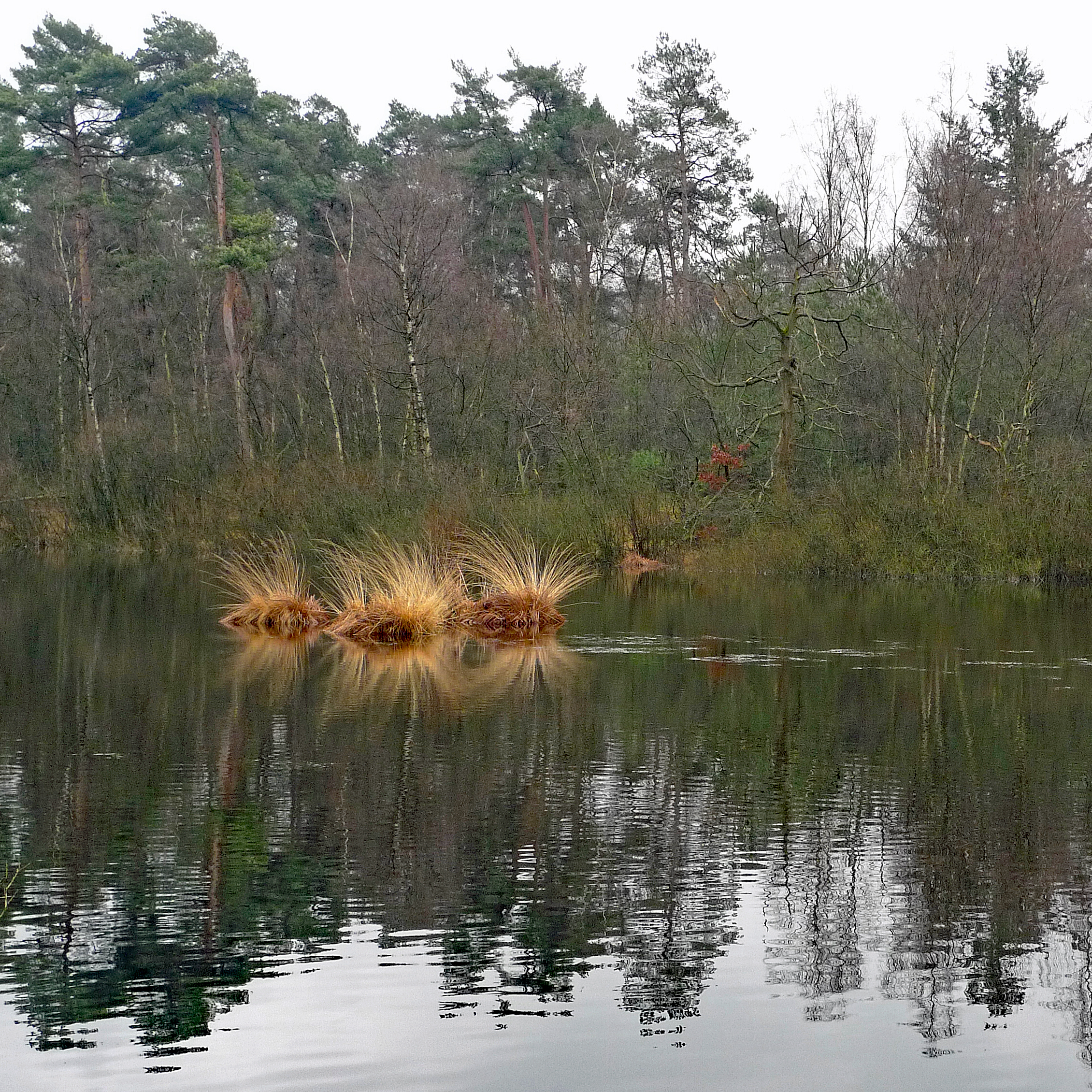 Nederland - Oisterwijk, Groot Aderven