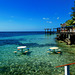 Can I offer a drink? - Roatan Honduras