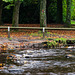 Across the river early Autumn Manor Park