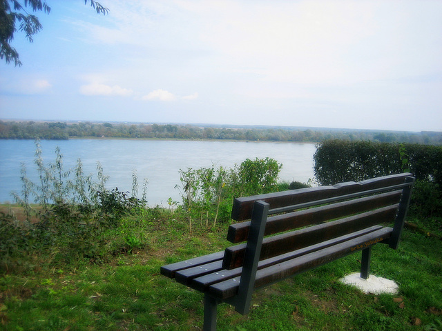 Bench on the banks of the Danube