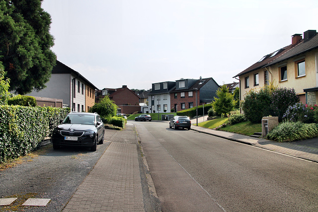 Zehntfeld (Castrop-Rauxel) / 3.08.2024