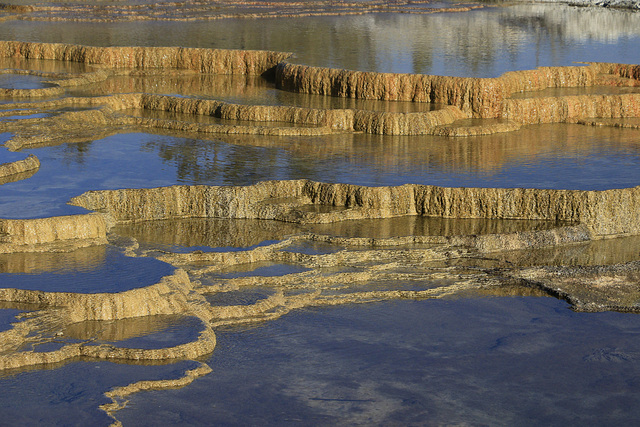 Trail Springs