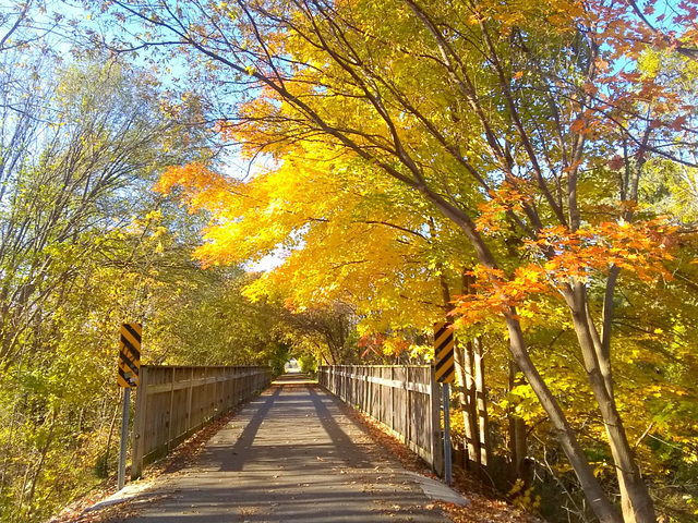 Walking Maggie this morning.