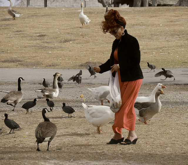 Las Vegas Bird Lover