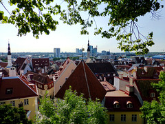 EE - Tallinn - Blick vom Domberg