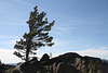 IMG 7021