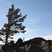 IMG 7021