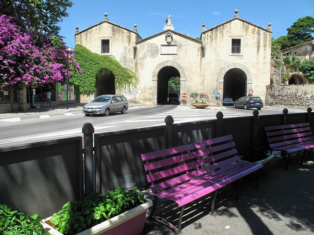 Purple benches  HBM!