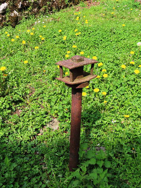 Intruso en el jardín