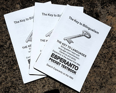 Esperanto Pocket Textbook