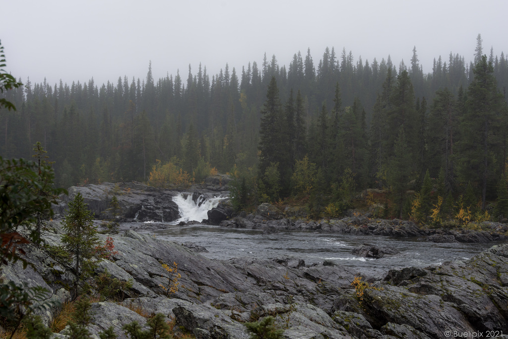 Litsjöforsen ... P.i.P. (© Buelipix)