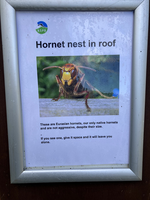 Hornet Nest Notice