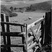 East Dean, Sussex