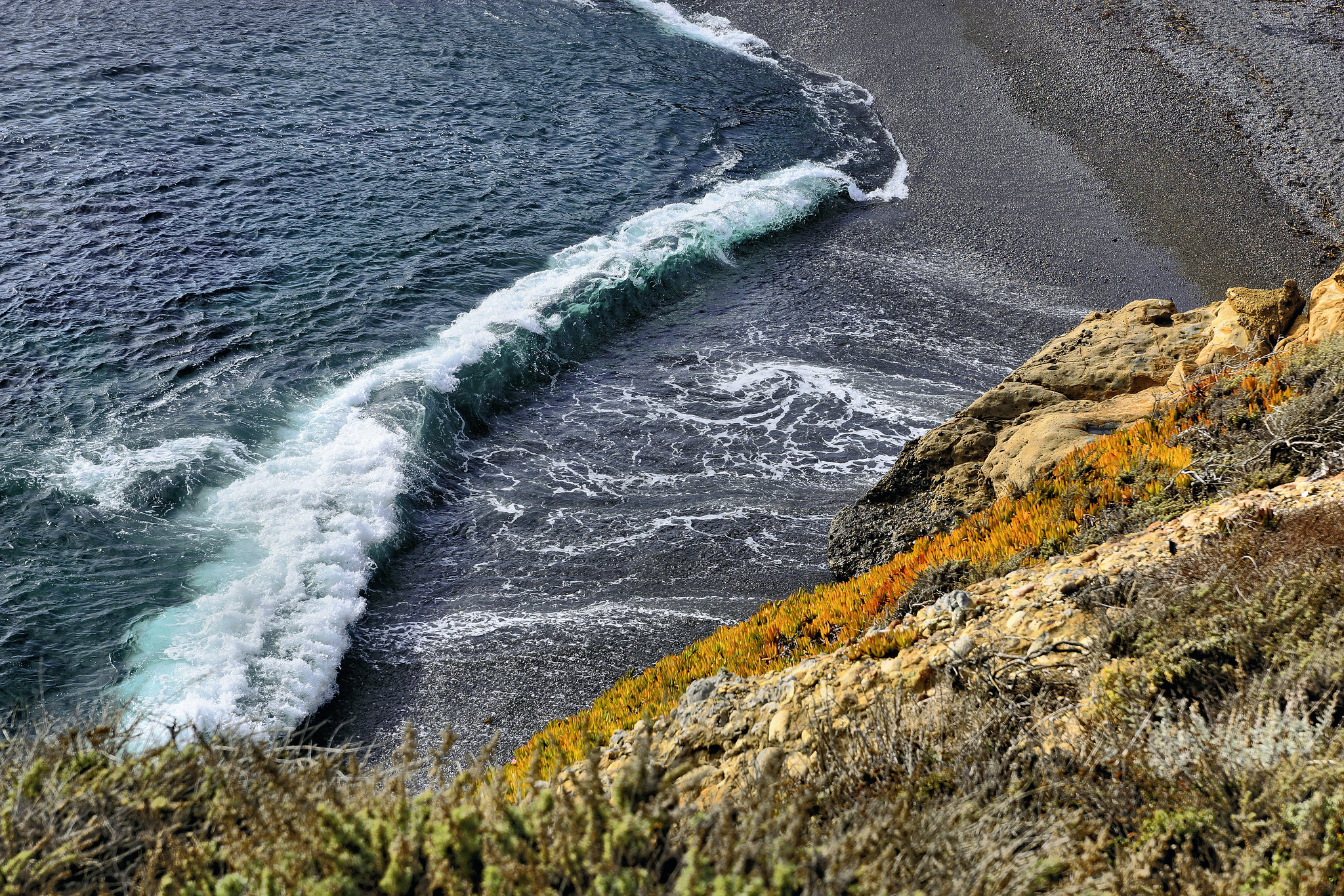 Coming In – Point Lobos State Natural Reserve, California
