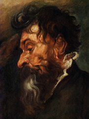 "Tête de vieil homme" (Antoon Van Dyck - vers 1616)