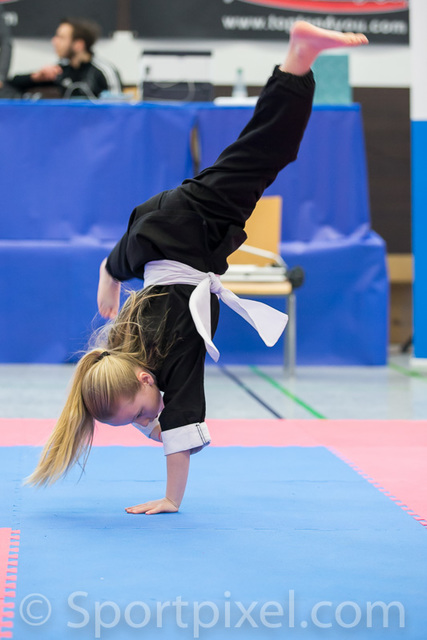 ger-open-5018 26354946215 o