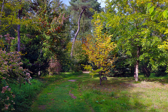Une promenade tranquille dans une zone de silence , que demander de plus ... . Une promenade tranquille dans une zone de silence , que demander de plus ... .