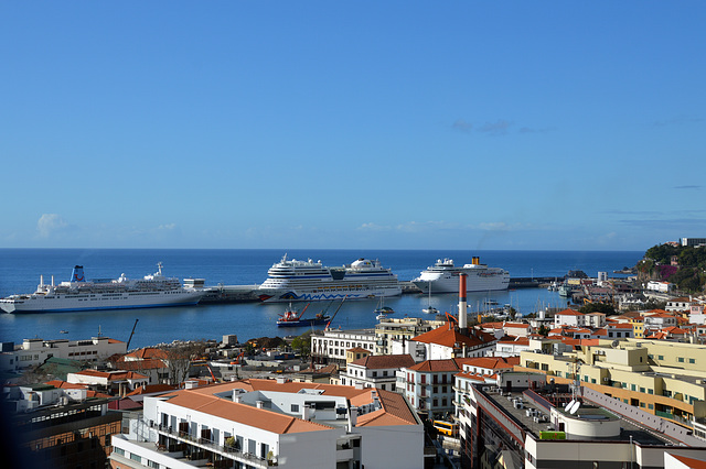 Traumhaftes Funchal