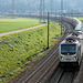 181018 Othmarsingen BR187 RailPool