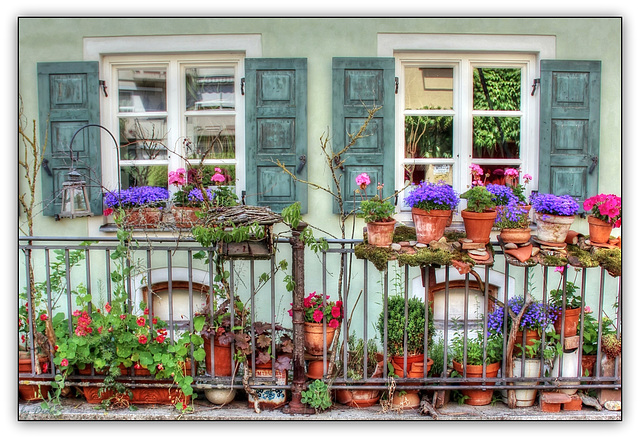 .•❀.•❤•.¸✿¸.•❀‘Urban Gardening‘❀•.¸✿¸.•❤•.❀•.