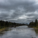 am Ufer des Vojmån (© Buelipix)