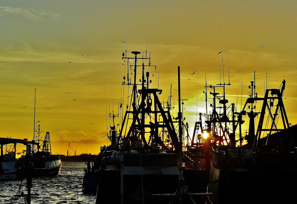 Fishquay Sunset