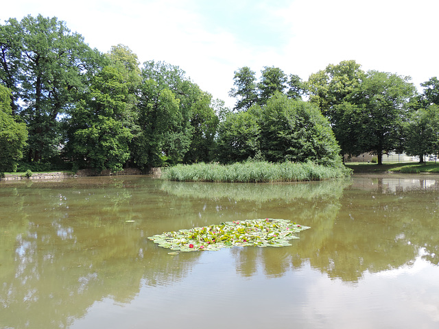 Teich im Stadtpark Golßen