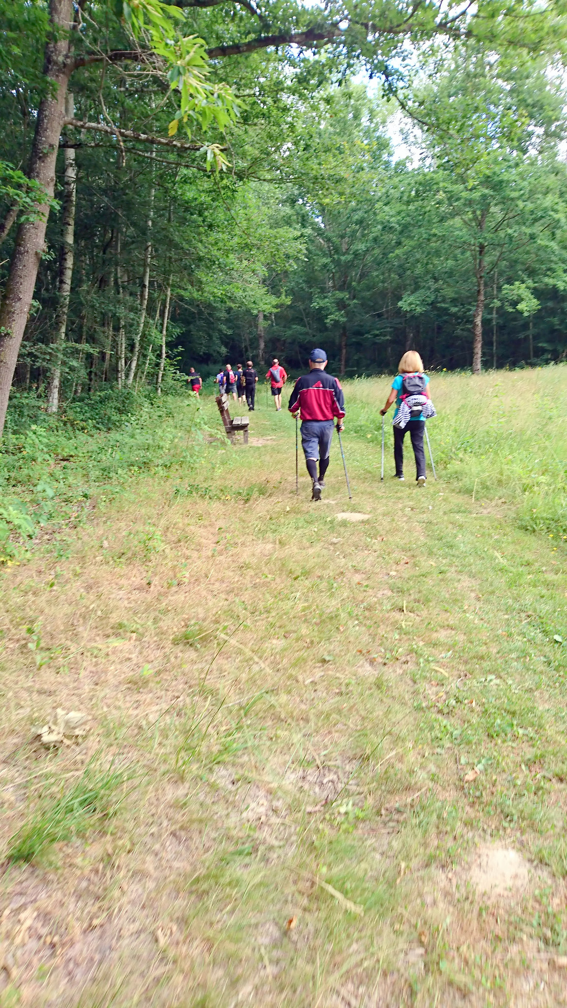 Marche nordique à Bombon 25/06/2017