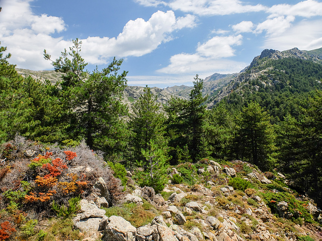 Lac de Creno