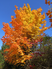October in Michigan