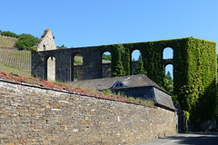 Klosterruine Marienthal