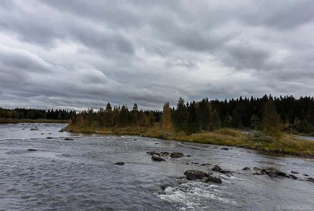 am Ufer des Vojmån (© Buelipix)