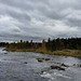am Ufer des Vojmån (© Buelipix)