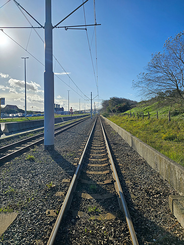 Belgien - Kusttram bei Harendijke im Oktober 2023