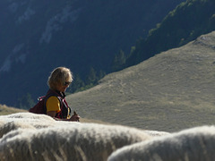 20250916 -19 Haut diois (Cascades Sapet - Valdrome) (93)