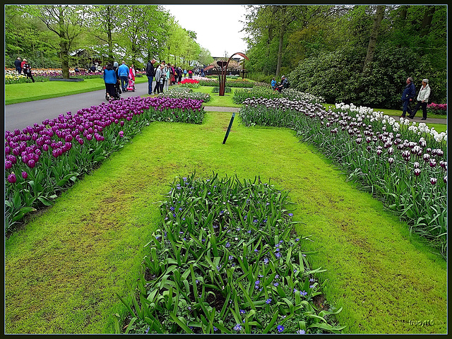 keukenhof