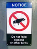 Canada 2016 – Toronto – Do not feed pigeons or other birds