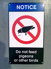 Canada 2016 – Toronto – Do not feed pigeons or other birds