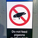 Canada 2016 – Toronto – Do not feed pigeons or other birds