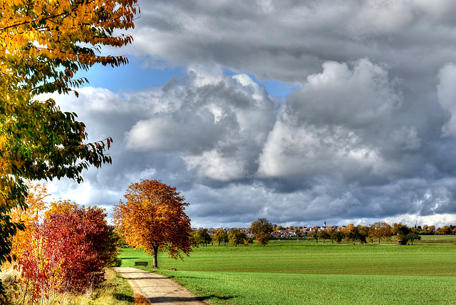 Blick in Richtung Hochdorf